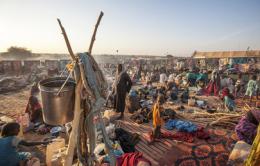 New IDP Arrivals at Um Baru, North Darfur (January 2015) New IDP Arrivals at Um Baru, North Darfur (January 2015)