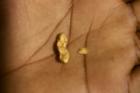 Gold in palm (S.Lezhnev)