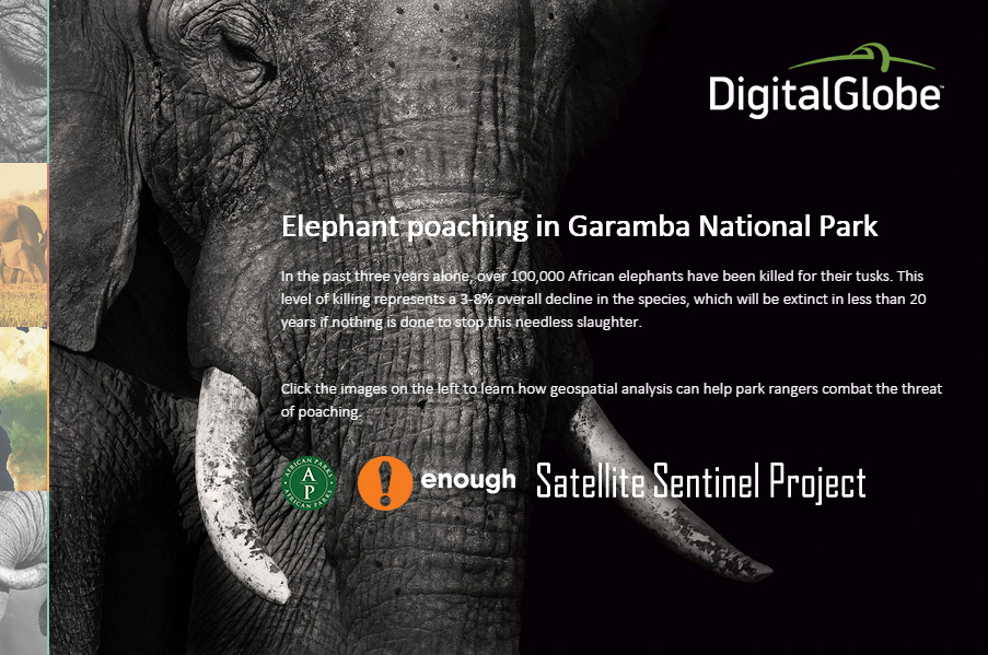 Garamba National Park Interactive Report