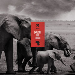 The Power of 96 Elephants: A new campaign to stop the ivory trade