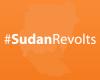 ThinkProgress: 7 Things You Need to Know About #SudanRevolts