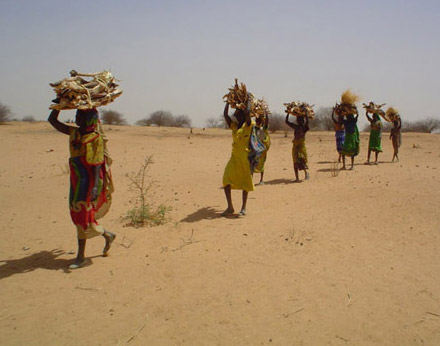 Neglecting Darfur